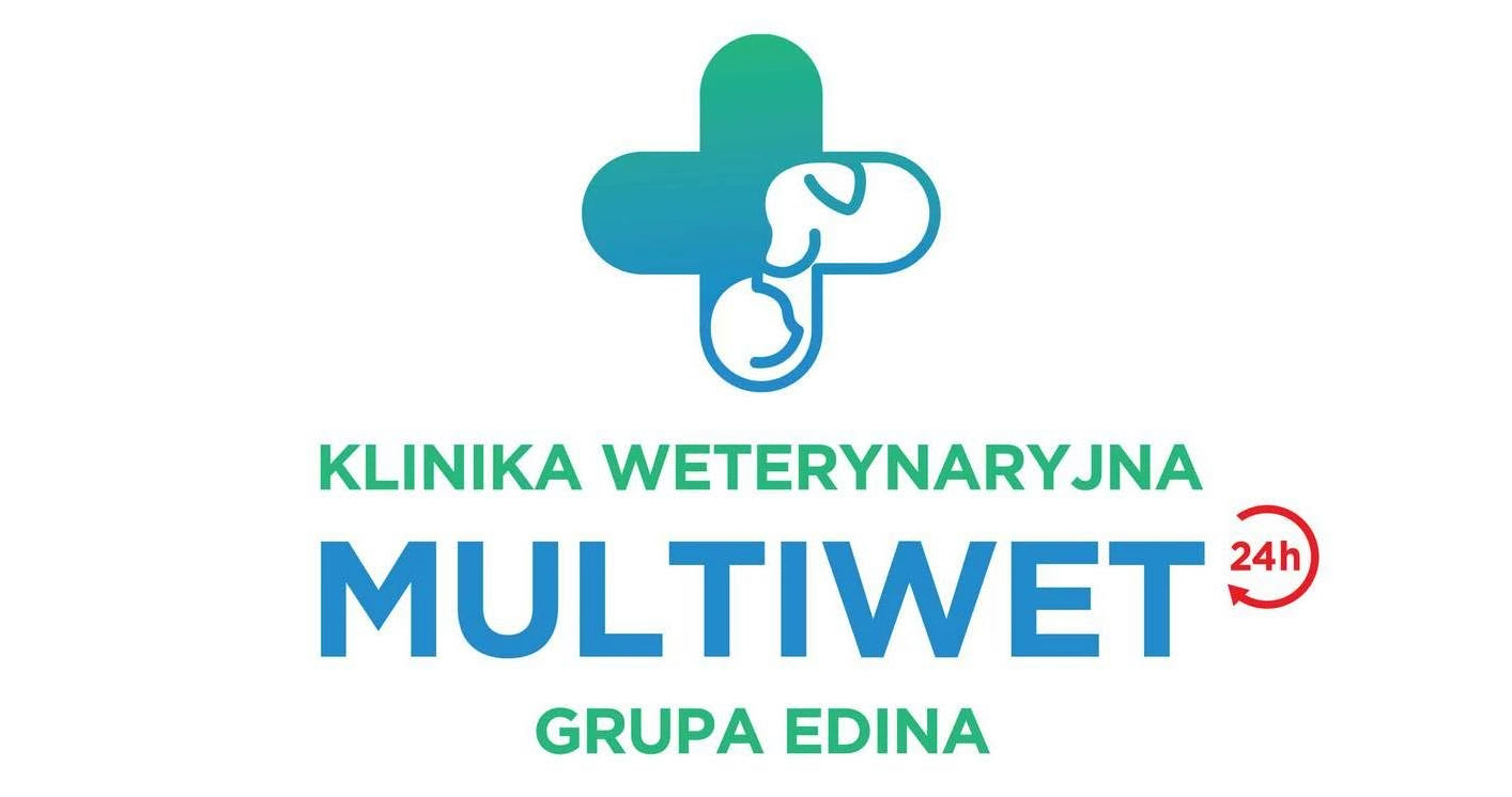logo-multiwet.